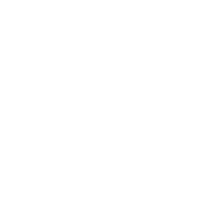 Dell-2.png