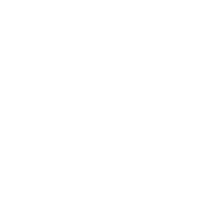 lenovo-1-1.png