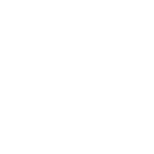 schneider-1.png