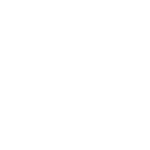 xerox-1.png
